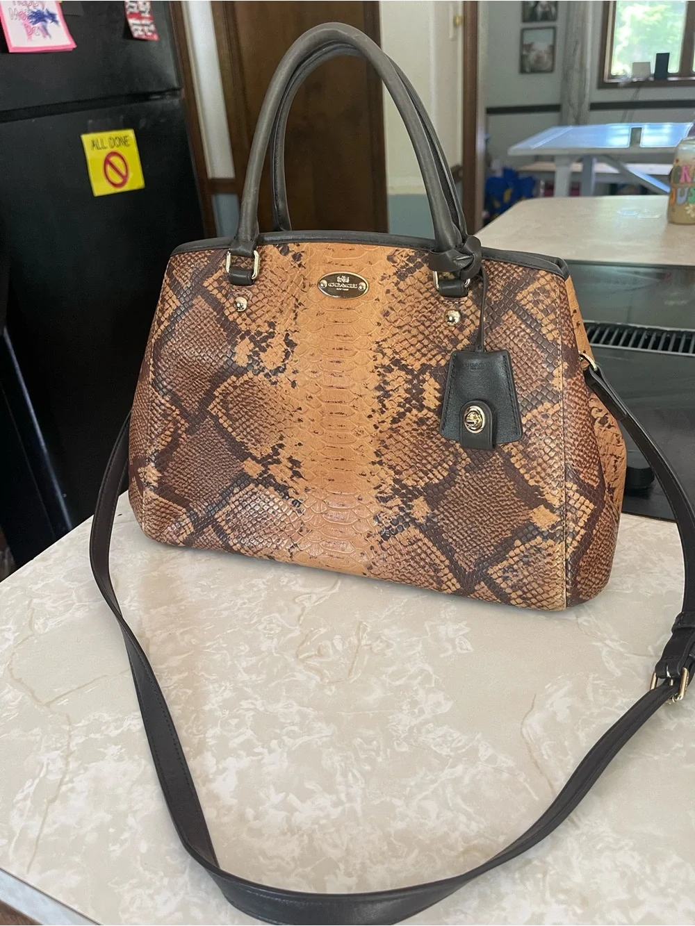 Coach Snake Margo Carryall Crossbody Shoulder Bag F35275 (180)